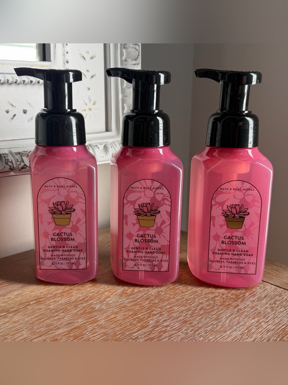 NEW set of (3) cactus Blossom Bath & Body Works Foaming Handsoaps